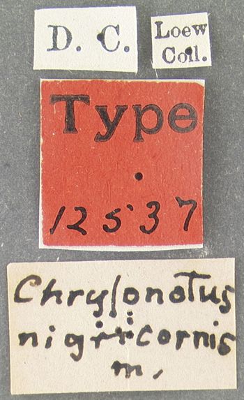 Media type: image;   Entomology 12537 Aspect: labels